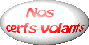 nos cerfs-volants