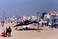 cha1996.jpg (62898 octets)