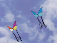 mprb0109.jpg (51271 octets)