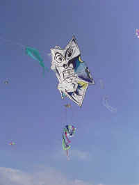 mprb0285.jpg (35616 octets)