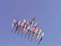 mprb0287.jpg (38150 octets)